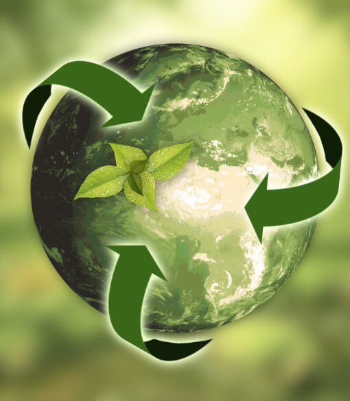 sustainability